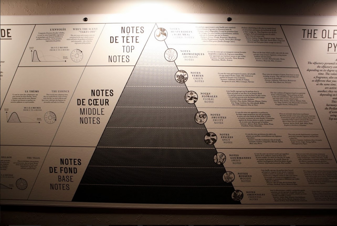 巴黎香水博物館  Fragonard 解說