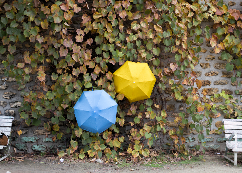 Paris umbrella colors