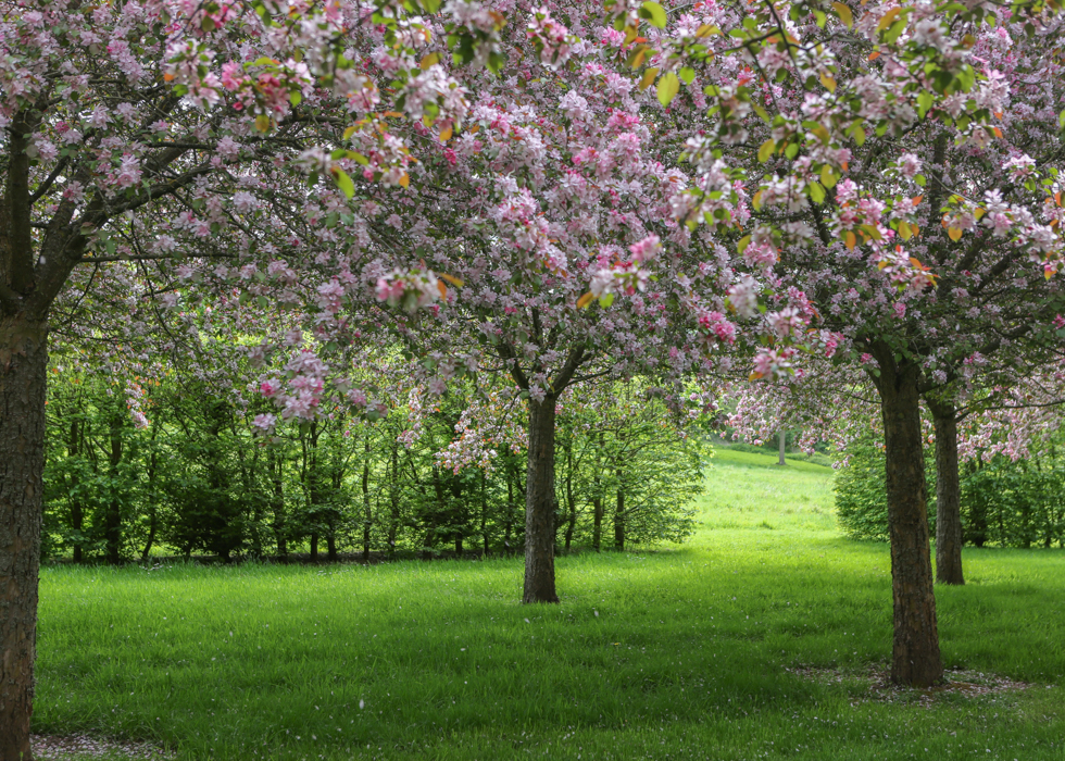 Beautiful French garden