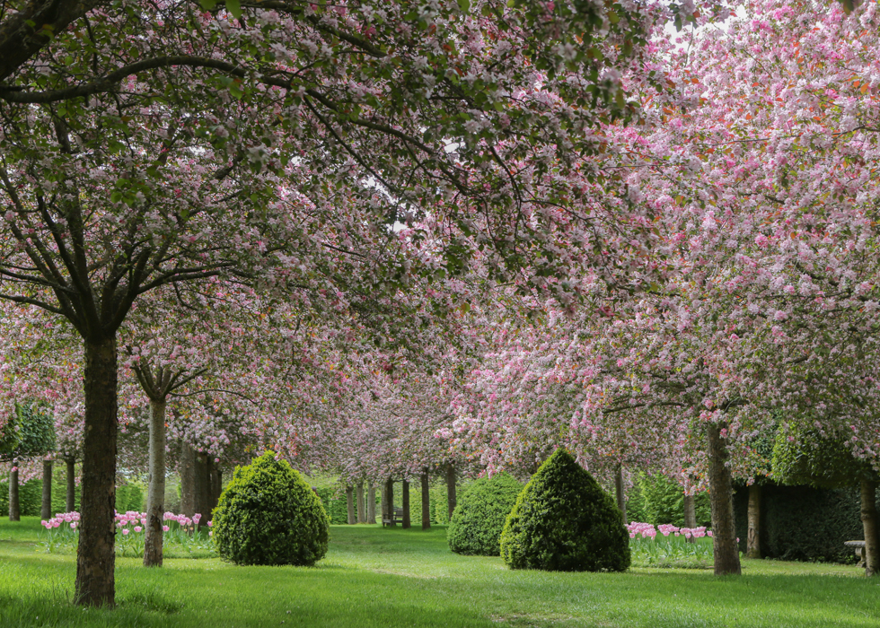GARDENS BOUTEMONT CASTLE