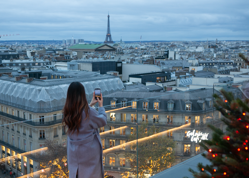 Panoramic view of paris
