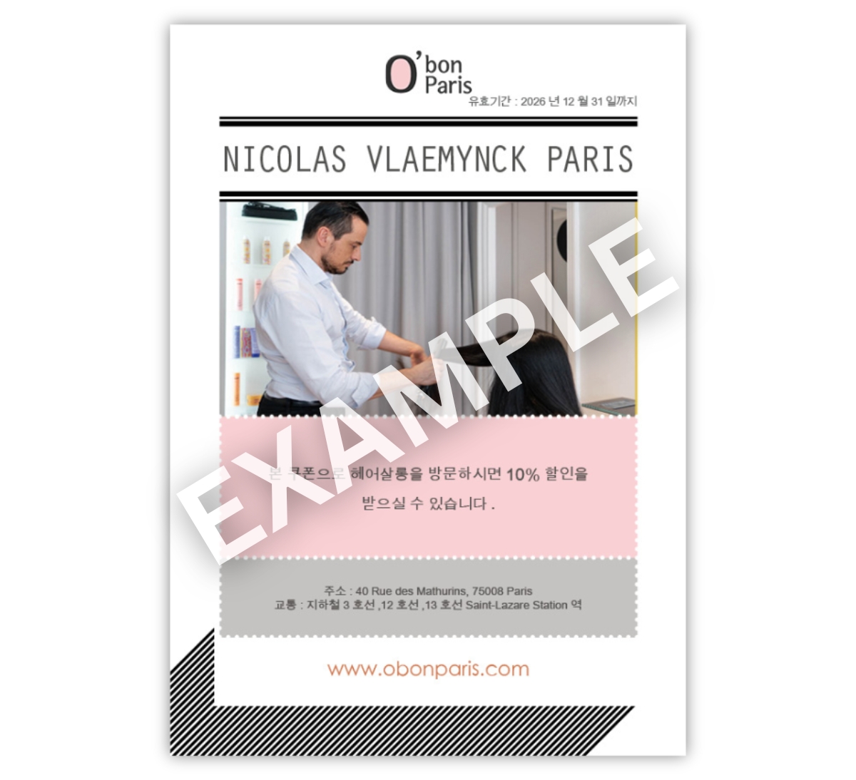 NICOLAS VLAEMYNCK PARIS HAIR SALON DISCOUNT COUPON