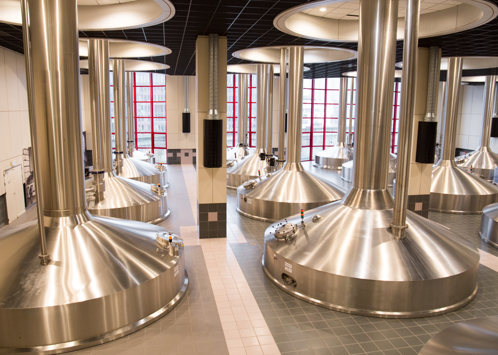 beer brewing fermentation 