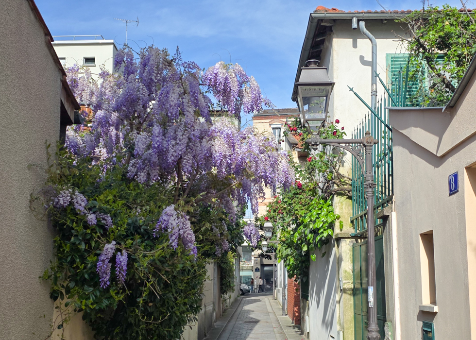 best flower photo spot Paris