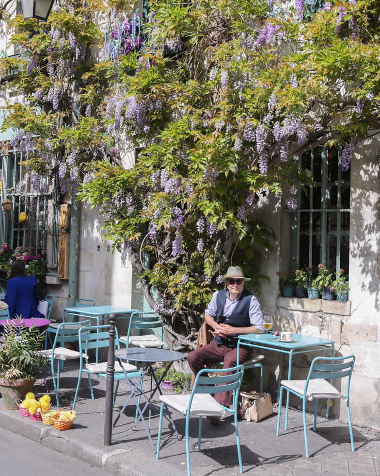 au vieux Paris d'Arcole Wisteria
