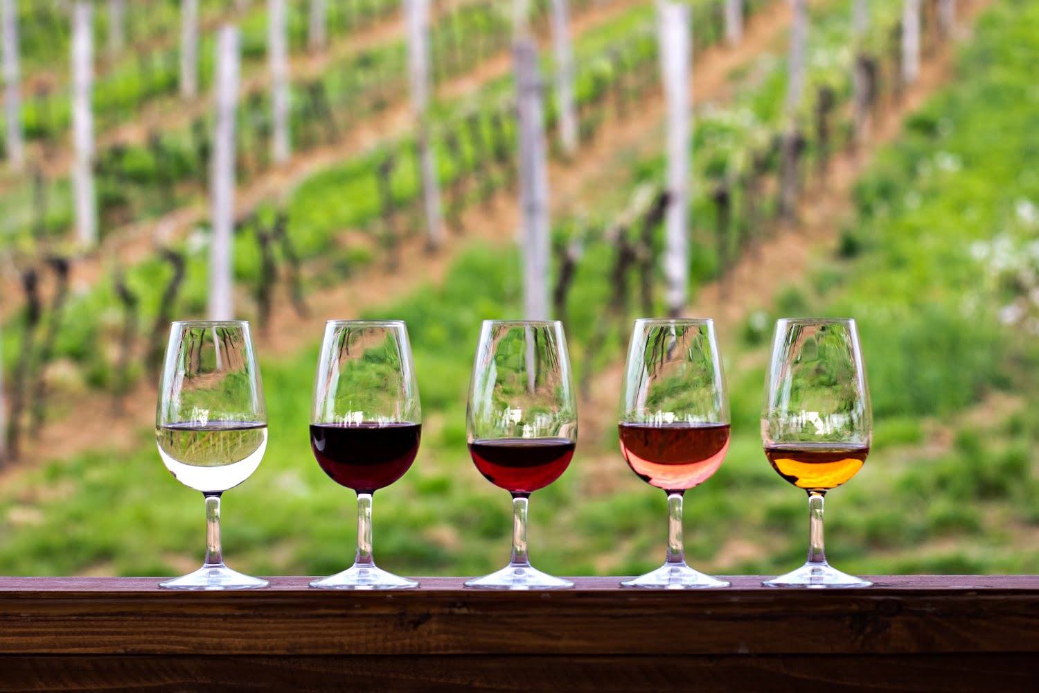 three essential elements of wine tasting